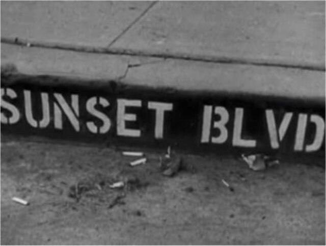 When Smart People Make Terrible Choices: Sunset Boulevard's Guide to Ignoring Your Own Intelligence 1 image 18